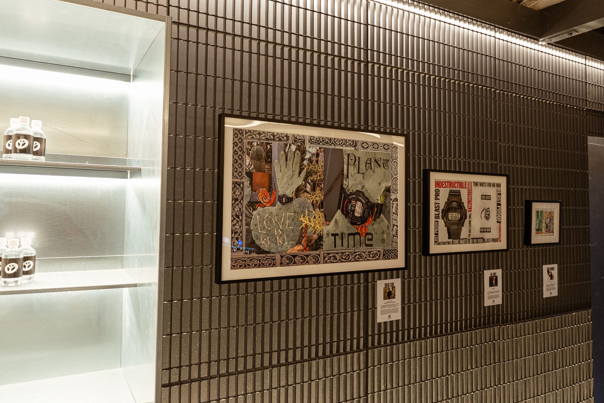 仙人掌商店的作品照片